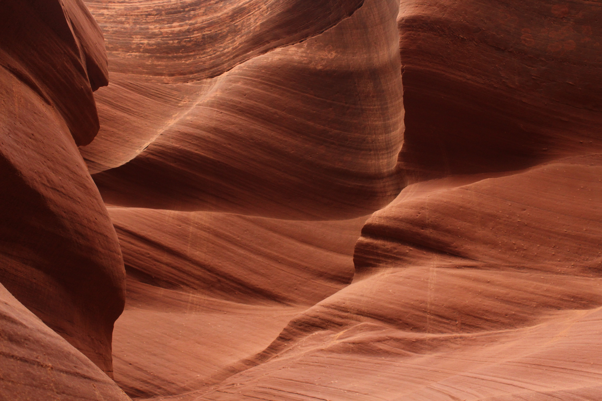 Brown Desert Sands